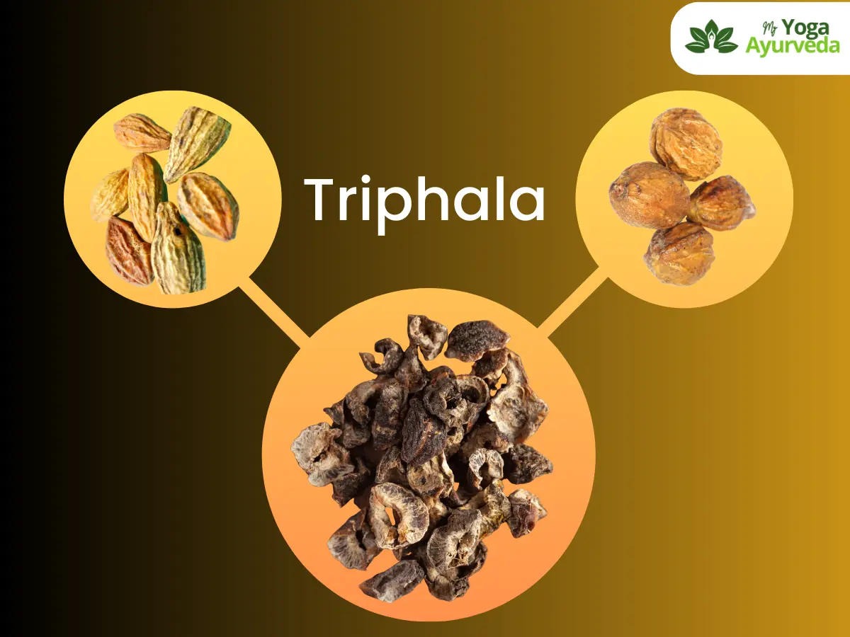 Discovering the Power of Triphala A Natural Remedy for Optimal Health