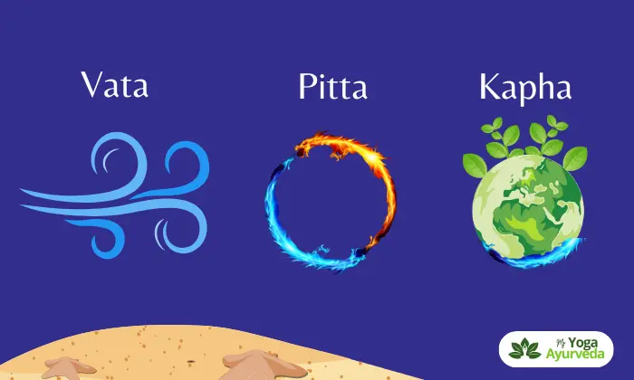 Know-Three-Doshas-Vata-Pitta-and-Kapha-in-Ayurveda