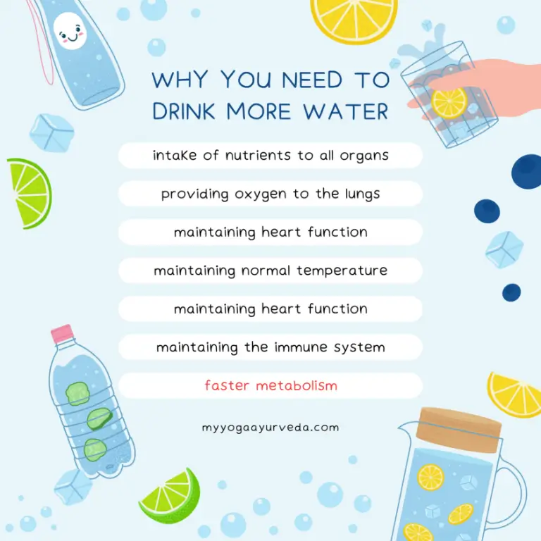 water is essential for faster metabolism