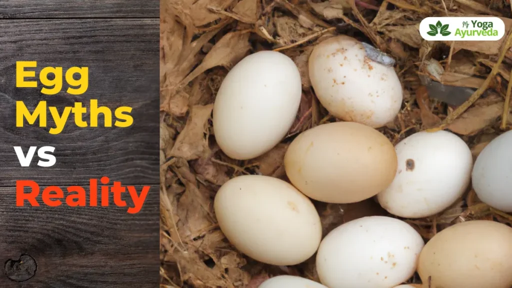Egg Myths and Realities: Nutrition and Potential Risks