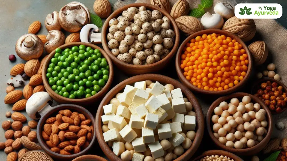 Vegetarian sources of Protein