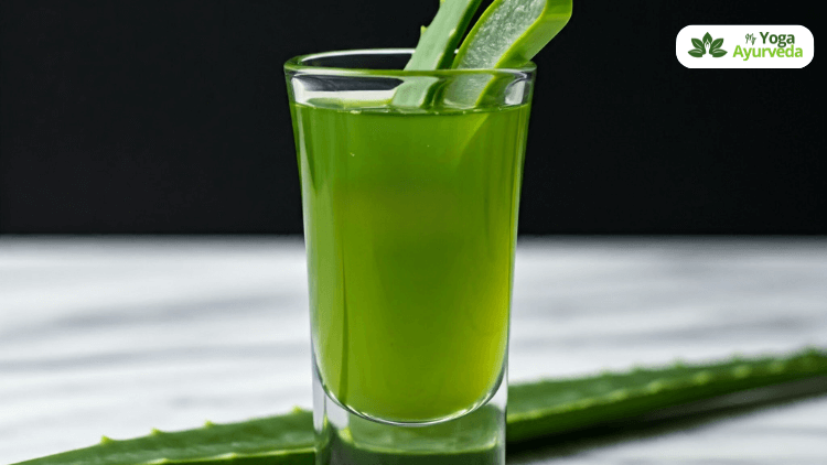 Aloe vera is helpful to Balance Pitta