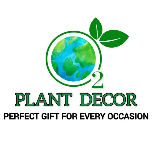 Plant Decor